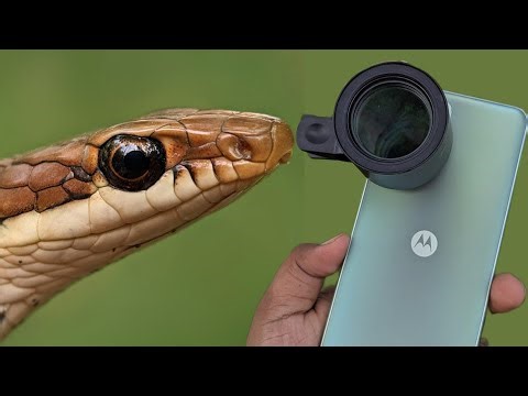 Lensbong Sony Premium Macro Lens Review | Best Macro Lens for Smartphone Photography 2025