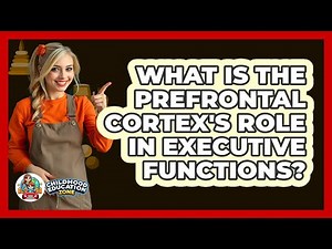 What Is The Prefrontal Cortex's Role In Executive Functions? - Childhood Education Zone