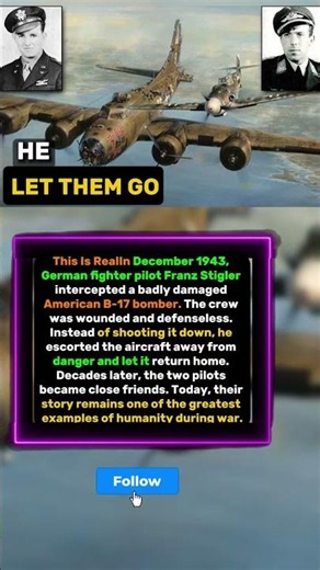 The German Pilot Who Refused to Shoot a Dying Bomber#WW2 #WorldWar2 #WarStories