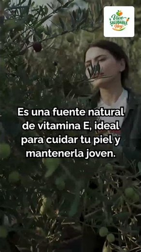 Beneficios de la Aceituna Que Debes Conocer Ya #recetassaludables #adelgazarfacil #adelgazarsano