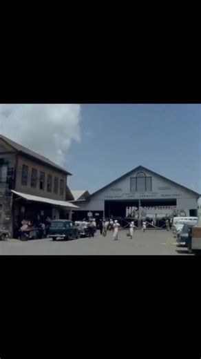 We even had a yellow bus system guyana | Everything about Guyana