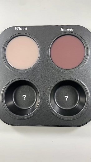 5.1K views · 17 reactions | Let's Mixing Wheat + Beaver 嶺 #colormixing #artandcraft #satisfying #colours #clolorchallange #colorthoery #asmr #painting #paintmixing #relaxing | Color Mixing Lab | Facebook