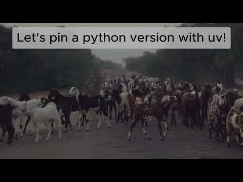 Pin a project to a Python version using uv (🚀 Launchpad Lab)