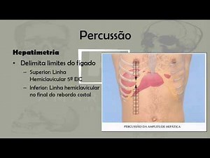 Semiologia abdominal-Percussão e palpação