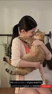 3 Things You're Doing That Make Your Cat More Scared Without Realising It