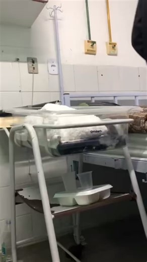 Mamãe do Noah 💙 on Instagram: "#vaiproexplorarr #fttyp"