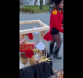 Adorable Circus Lion Halloween Costume