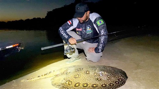 Face to face with deadly Amazon creature