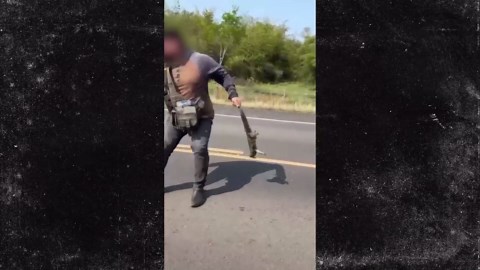 Good Samaritan Hit by Car While Rescuing Lizard on Road, Video Shows