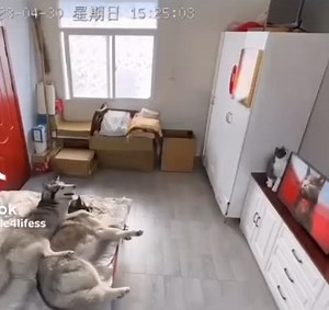 159K views · 5.5K reactions | This is hilarious  | Hilarious Ted | Facebook