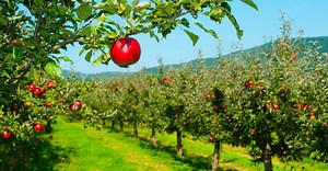 58 September Social Media Holidays & Ideas to Spice Up Your Fall | LocaliQ