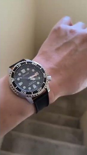 Citizen Eco-Drive Promaster Diver Watch