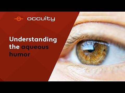 Understanding the aqueous humor - Occuity