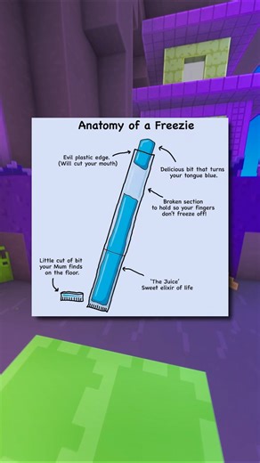 The Freezie Anatomy 🤔