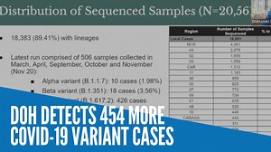 The Department of Health on Monday detected 454 additional COVID-19 variant cases in the Philippines, the largest chunk of which is the more infectious Delta variant. | INQUIRER.net