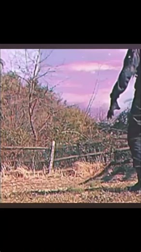 Soldado Caindo: O Meme Que Faz Todo Mundo Rir