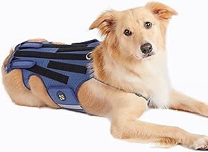 Coodeo Dog Back Brace for Dogs Arthritis, Pet Back Bracer for IVDD, Back Protector Helps Pain Relief, Surgical Recovery and Rehabilitation, Dogs Back Disease Prevention. (Blue,XX-Large)