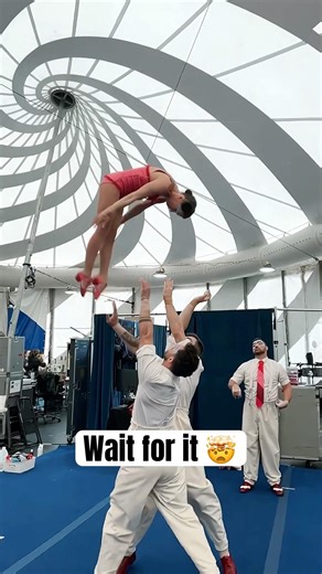 This Is Why Circus Acrobats Train For Years! #circus #acrobat #shorts