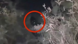 1.1K views · 21 reactions | Top 10 Mysterious Creatures Captured On Camera | Unexplained Mysteries Video | Facebook