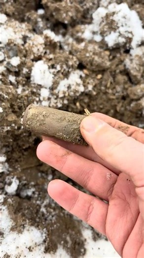 Discovering Spent WW2 50Caliber Shell Casings #foryou #history #fyp #military #usa #ww2 #army #find