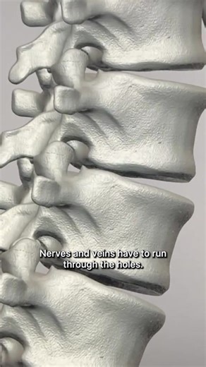 Now knowing anatomy will show in your 3D artwork! Get better at it with Anatomy For Sculptors books! Use code "stealthy" for 10% off. Video by @abovewongart with @anatomy4sculptors | Anatomy For Sculptors | Facebook