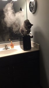 Recently purchased a humidifier and...