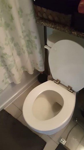 Toilet Sounds Like it's Crying