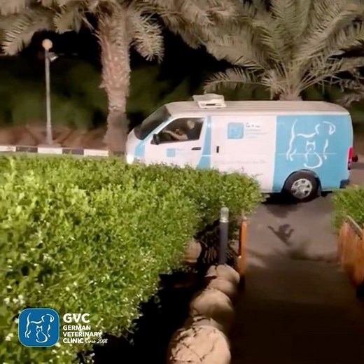 11 reactions |  Our devoted relocation team never stops working to...