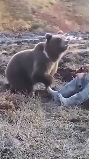 Caring for and Rescuing Animals in Need