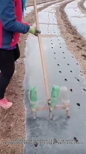 재활용 도구를 이용한 효율적인 비닐 멀칭 구멍 뚫기