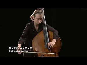 Figure 11.13 Double Bass Advanced Harmonics