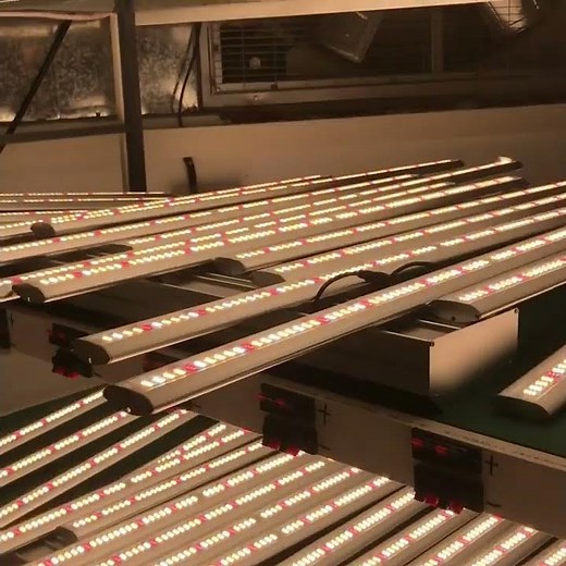 PHLIZON full-spectrum dimmable LED Grow Light Official #phlizon