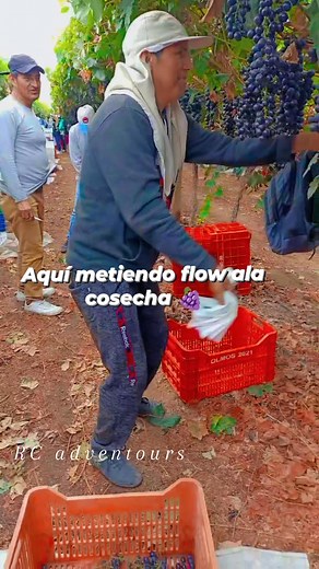 37K views · 408 reactions | Iniciando la semana con toda la actitud | Rc adventours | Facebook