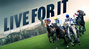 【浪琴表香港國際賽事】馬壇年度壓軸盛事，世界舞台，草地皇者！來自世界各地的頂級佳駟匯集香江，競逐四項一級大賽冠軍榮譽。12月12日，沙田馬場，強者對決！ 🔹浪琴表香港國際賽事主題網頁｜https://bit.ly/2XOaqe2 #浪琴表香港國際賽事 #HKIR #GoRacingHK #ShatinRacourse #沙田馬場 #香港國際賽事 #世界舞台草地皇者 | HKJC Racing