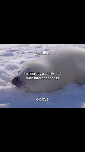 ᗢ ..🦭 | #shorts #silly #funny #seal #cute #memes