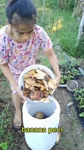 3.9M views · 10K reactions | Organic liquid fertilizer #vegetablegardening #memai | Me mai | Facebook