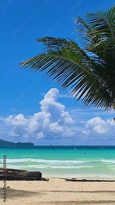 Vertical View, Exotic Tropical Island Scenery, White Sand Beach, Palm Tree and Turquoise Sea