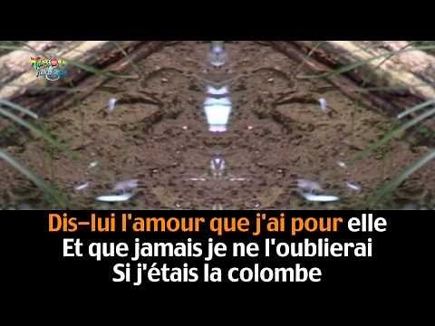 Vole colombe '' Isabelle Boulay''