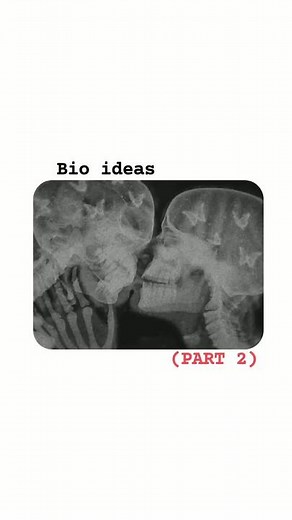 knd of sht. on TikTok