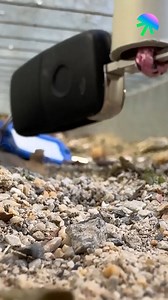 7.7M views · 118K reactions | Ways to simplify every task | Craft Pop Max | Facebook