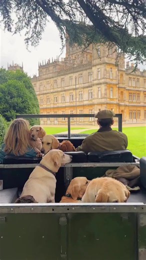 Highclere Castle: A Legacy of Stewardship and Architecture