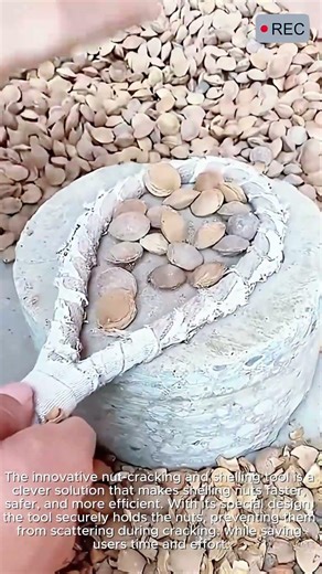 Smart Seed Cracking Tool Fast & Easy #viral #tools #smart #creative