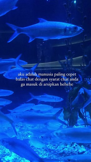 Beautiful Blue Fish Swimming in an Aquarium