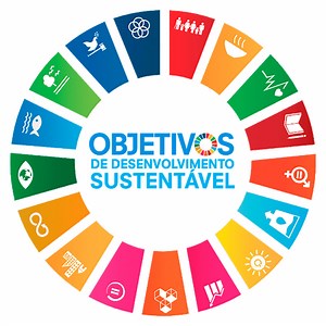 Economia circular e Agenda 2030 nas cidades