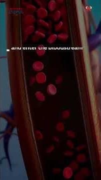 How Air Pollution Impacts Your Health | The Hidden Cost of Energy | Lung Care Foundation