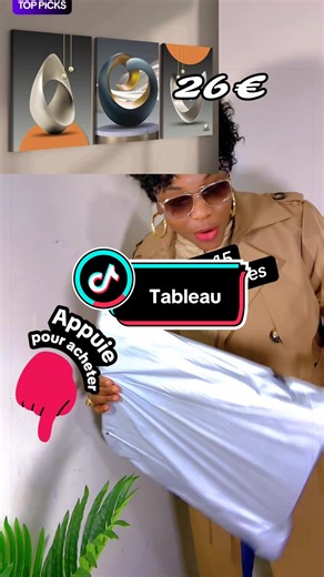 Decorative Tableaus from TikTok Shop