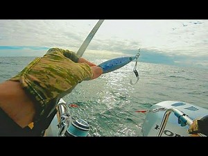 Numbers of Bass Always Like This!! Slow Pitch Jigging / South Devon