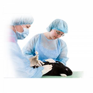 Veterinary Medicine
