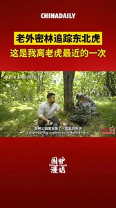 Join China Daily's Nathan on a wild adventure into the heart of China Tiger and Leopard National Park! Discover the ripple effects of tiger conservation and how we can save these majestic creatures and the biodiversity they support. Don't miss this awe-inspiring journey!#InternationalTigerDay #PotsideChats | China Daily