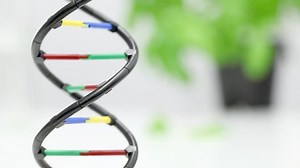 Science lab: DNA model with researcher working in the back